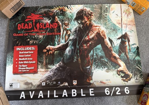 Raro poster promo - raro,